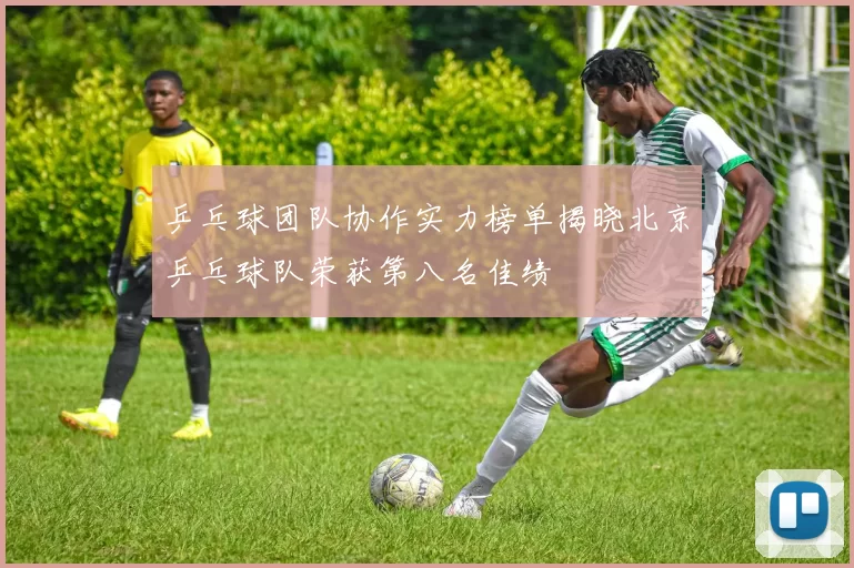 乒乓球团队协作实力榜单揭晓北京乒乓球队荣获第八名佳绩