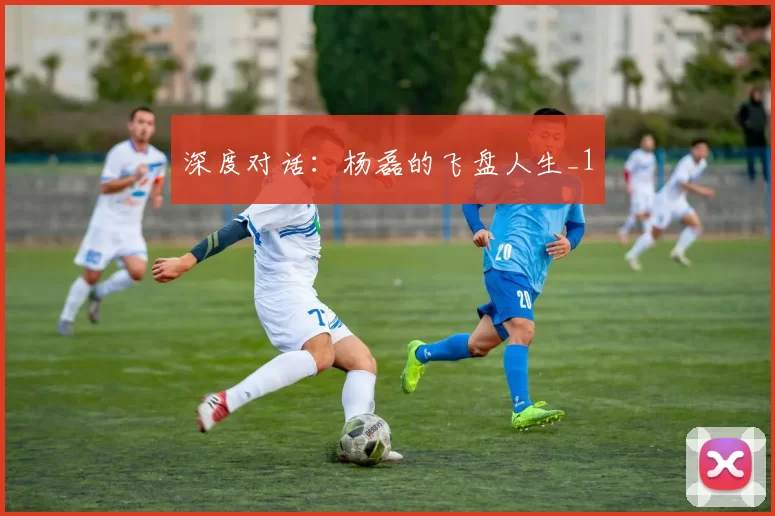 深度对话：杨磊的飞盘人生_1