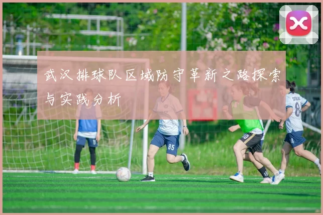 武汉排球队区域防守革新之路探索与实践分析