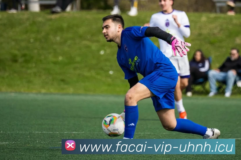 华体会体育注册平台生态图