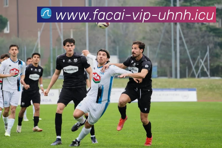 华体会体育注册APP 封面图